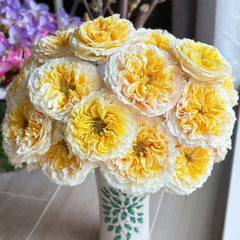 Beatrice rose large bouquet in decorative vase with white outer petals