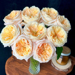 Cream X-Pression Rose