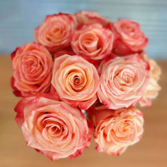 Fragrant Delicious Rose