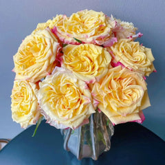 Golden Wave Rose