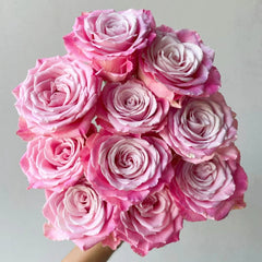 Ice Crown Princess Rose