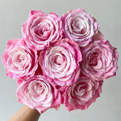 Ice Crown Princess Rose