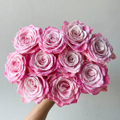 Ice Crown Princess Rose