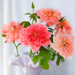 La Chance D'amour Rose