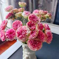 Lovely Raspberry Rose