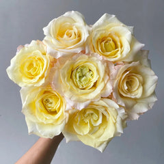 Mango Pomelo Sago Rose