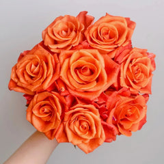 Orange Party Rose
