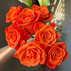 Orange Party Rose