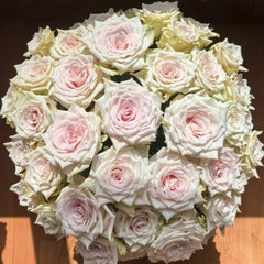 Pomelo Rose