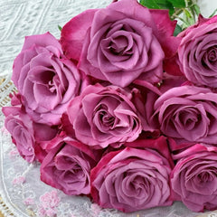 Purple Serenade Rose