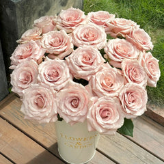 Quicksand Roses with beige-pink champagne petals, long vase life, ideal for weddings and luxury floral arrangements.