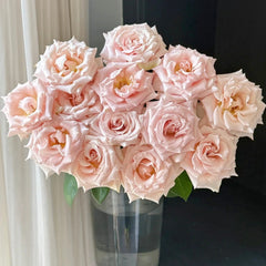 Quicksand Roses with beige-pink champagne petals, long vase life, ideal for weddings and luxury floral arrangements.
