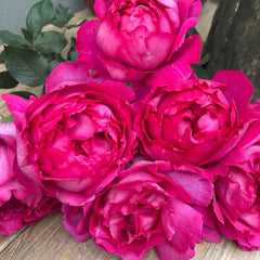 Rouge de Parfum Rose