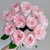 Strawberry Macaron Rose