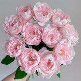 Strawberry Macaron Rose