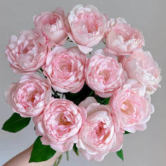 Strawberry Macaron Rose