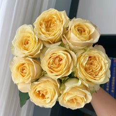 Summer Sunshine Rose