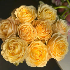 Summer Sunshine Rose