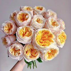 Victorian Peach Rose