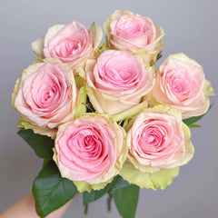 Vitara Rose