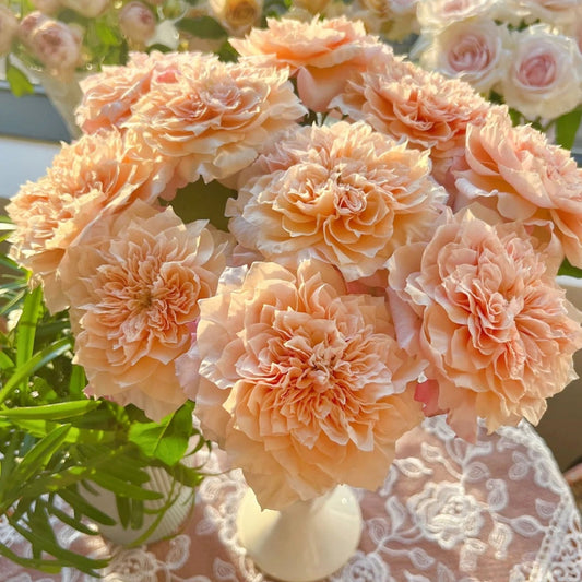 Feeding Roses: A Simple Guide to Strong, Healthy Growth and Beautiful Blooms