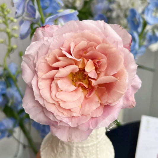 L'heure Magique Rose: Elevate Your Floral Creations with This Unique Japanese Beauty