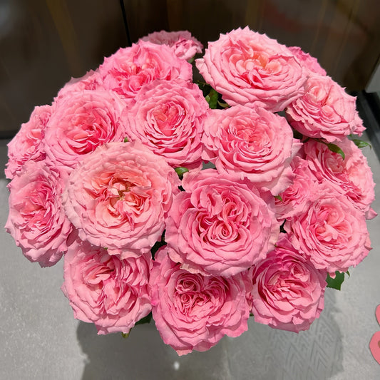 🌹Top 5 Most Fragrant Roses – Discover the Scents that Steal Your Heart🌹