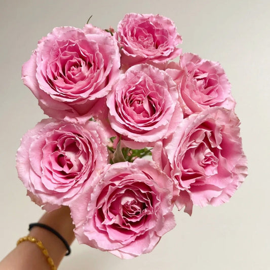 Xiyao Rose: The Premier Choice for Stunning Cut Flowers