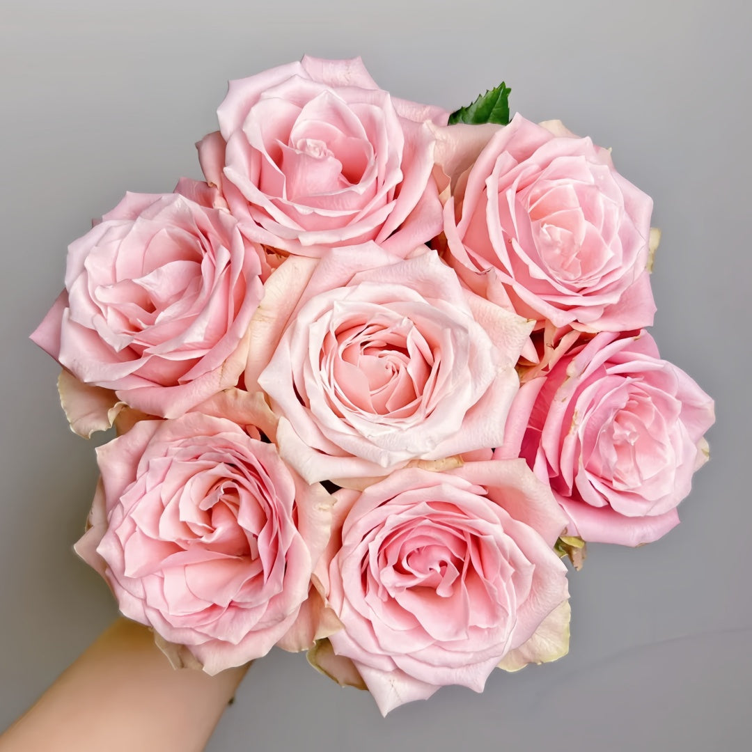 Almond Milk Candy Rose
