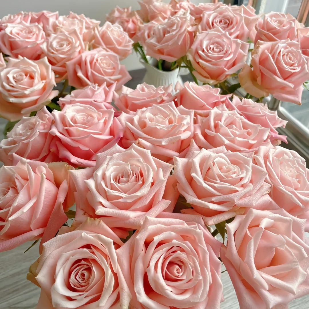 Almond Milk Candy Rose