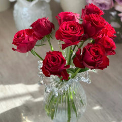 Amada Rose