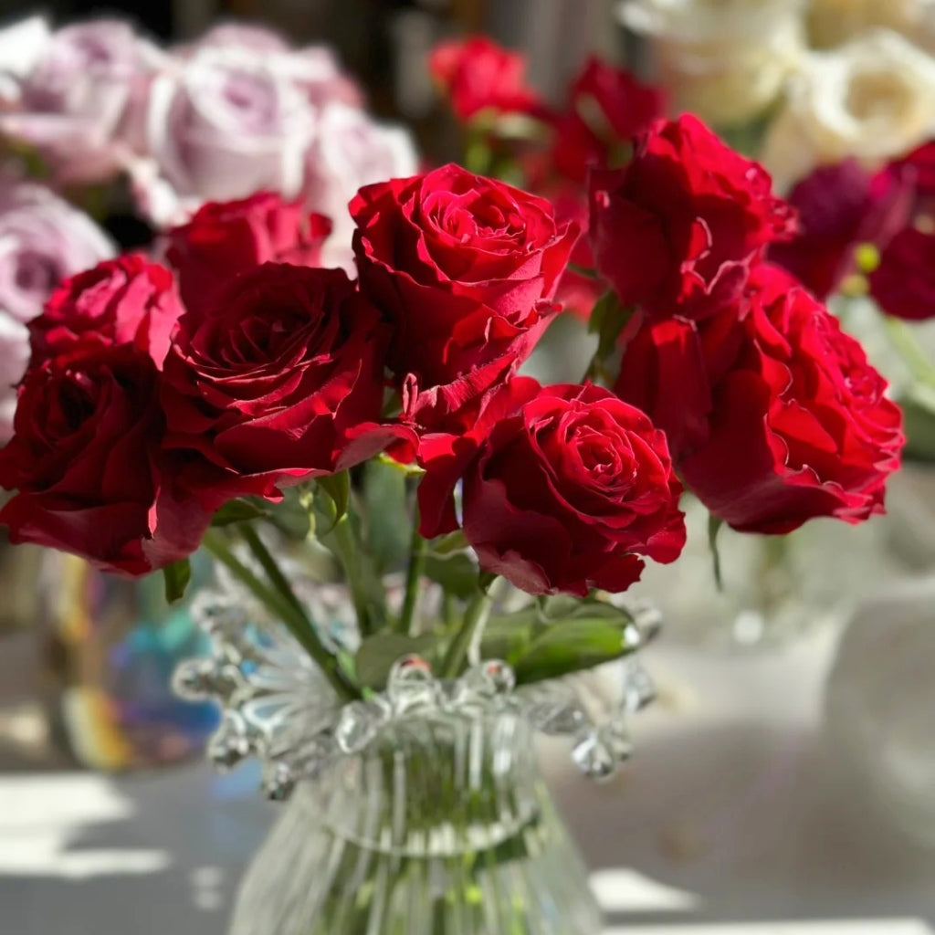 Amada Rose