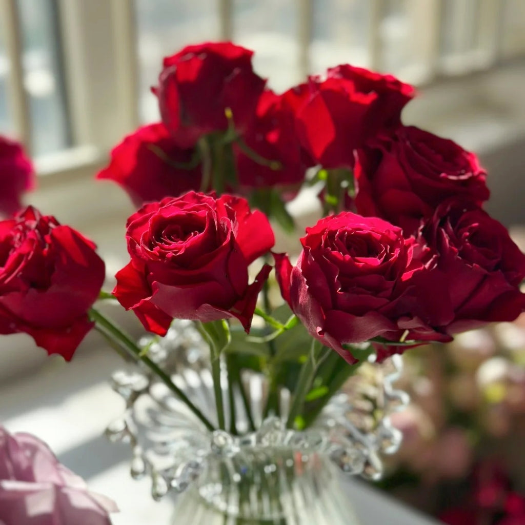 Amada Rose