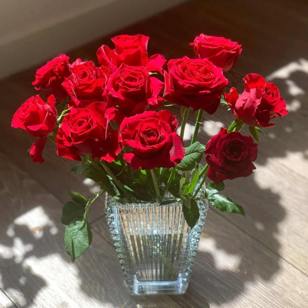 Amada Rose