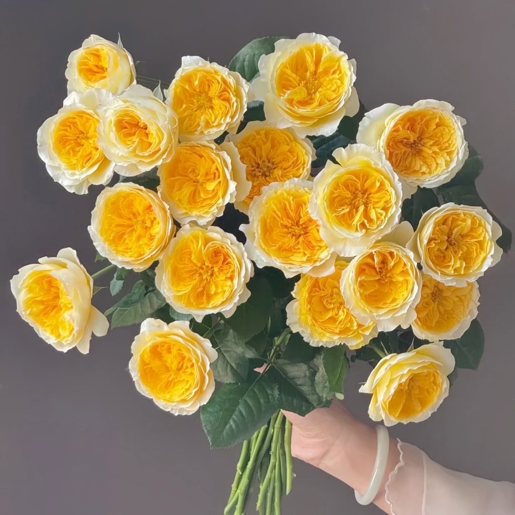 Beatrice rose bouquet with green leaves, white outer petals and bright yellow centers
