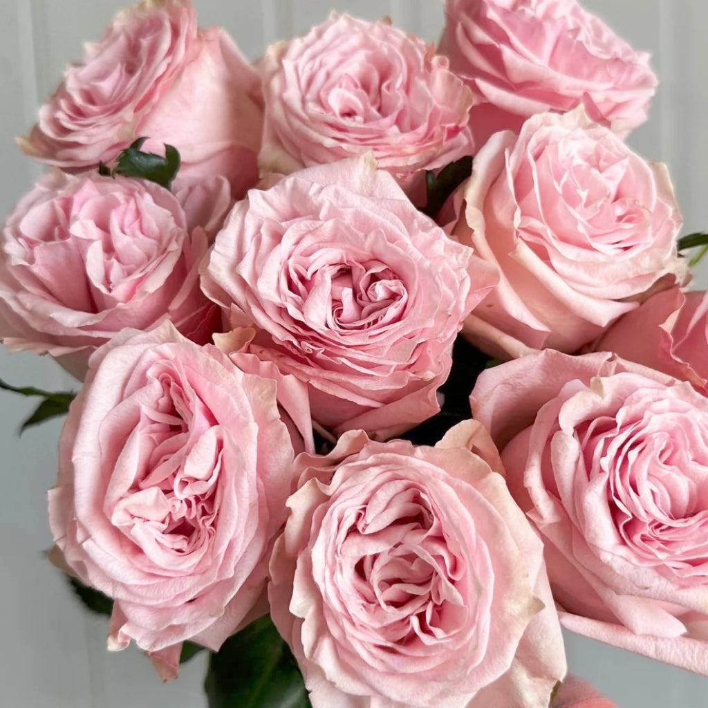 Bimba Rose