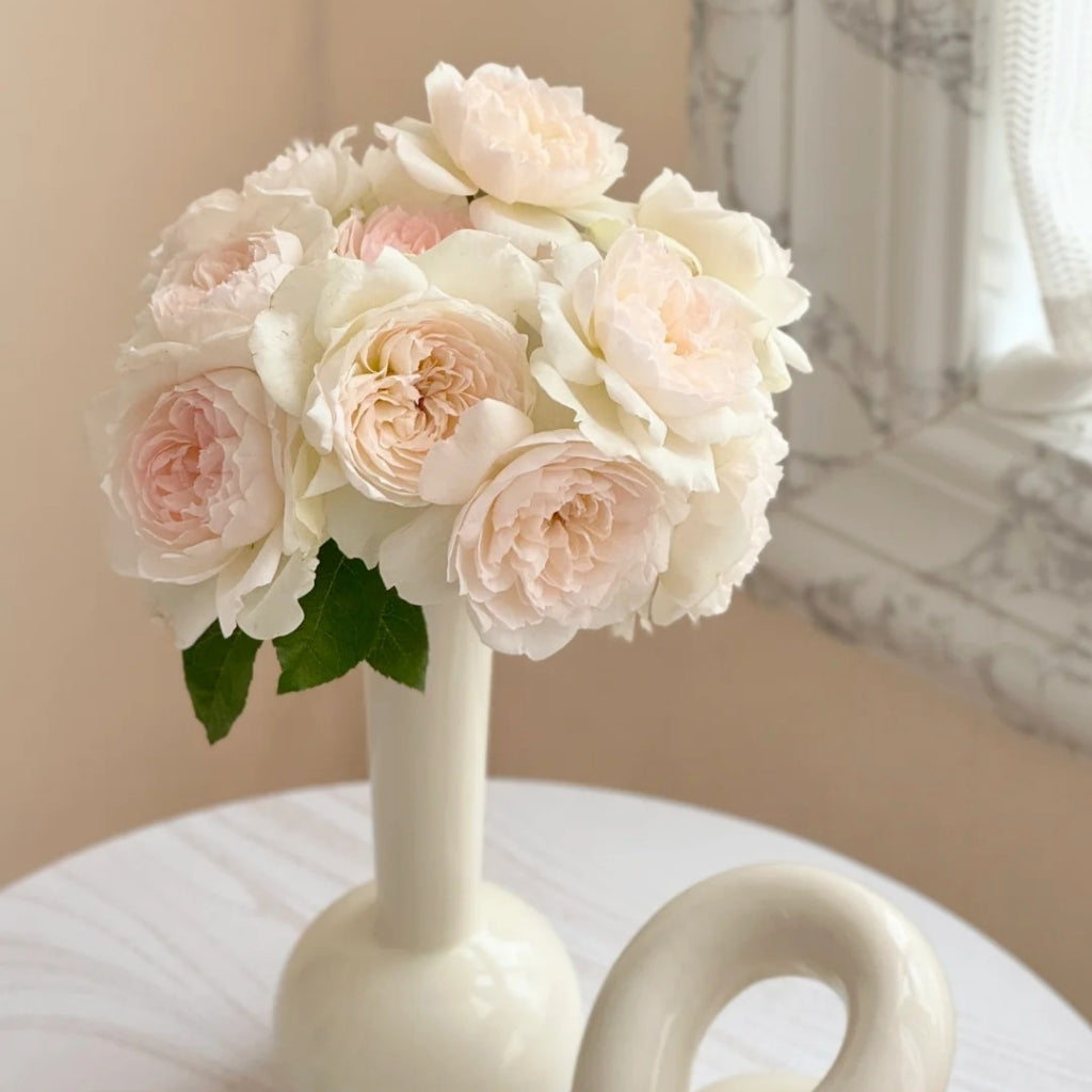 Bolero Rose