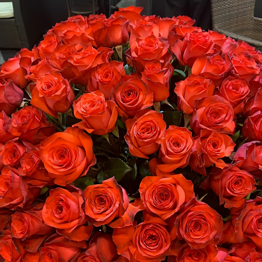 Bromo Rose