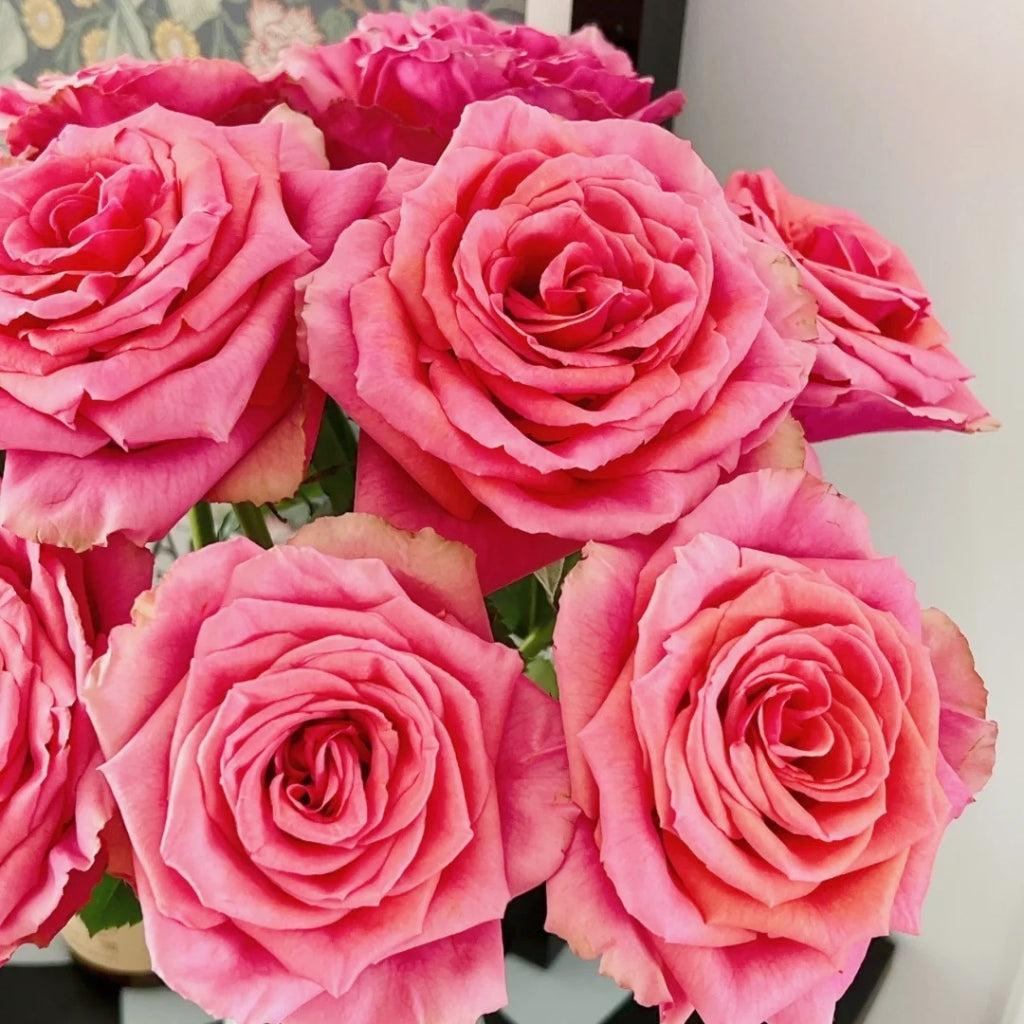 Bronze Perfume Rose