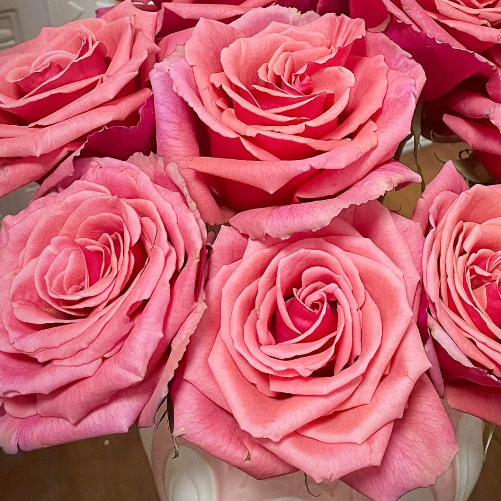 Bronze Perfume Rose