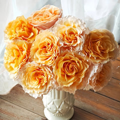 Campanella Peach Rose