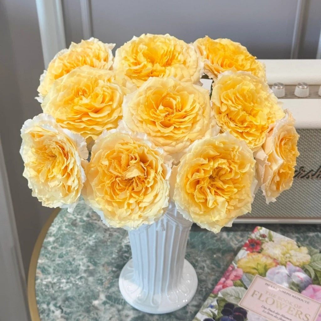 Campanella Peach Rose