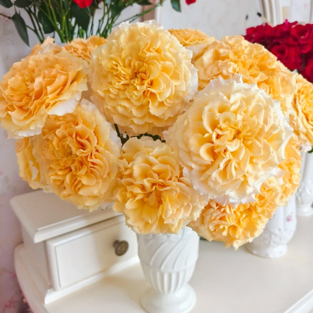 Campanella Peach Rose