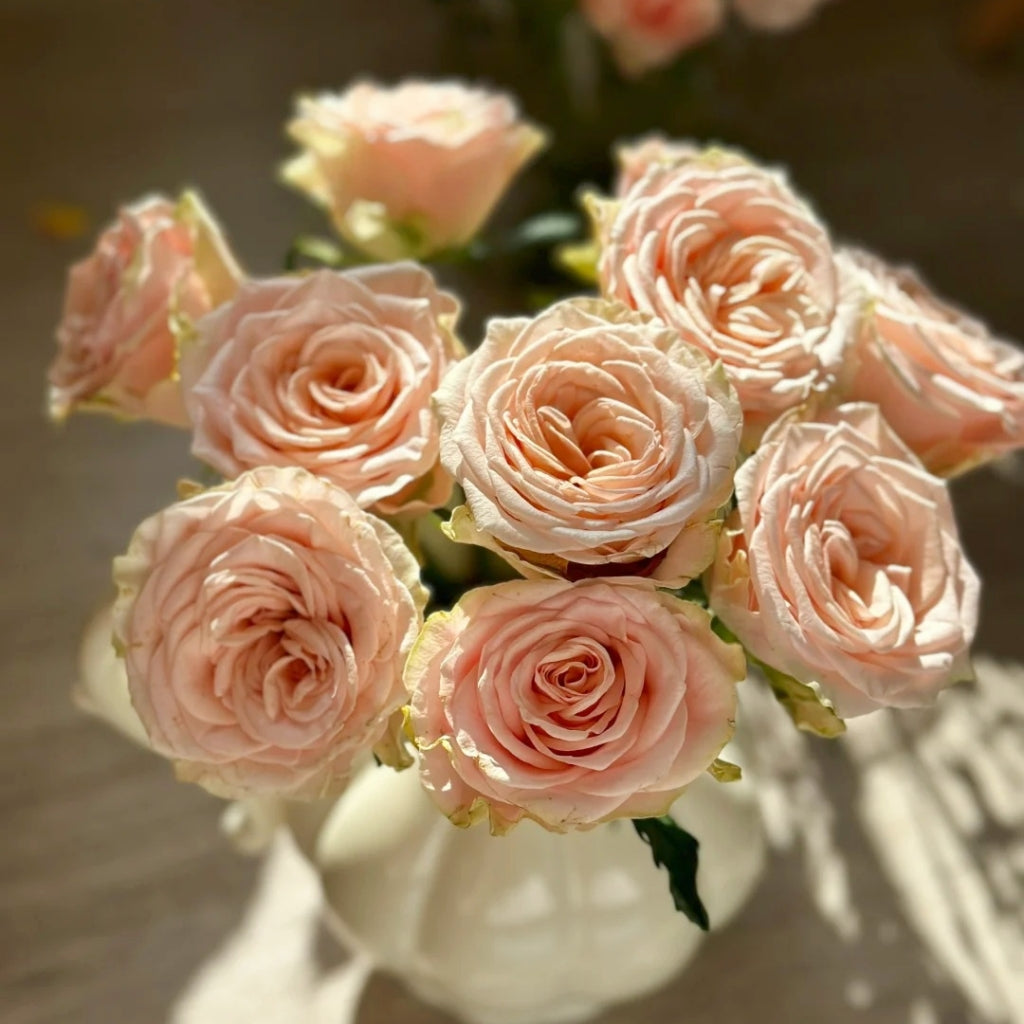 Capodimonte Rose