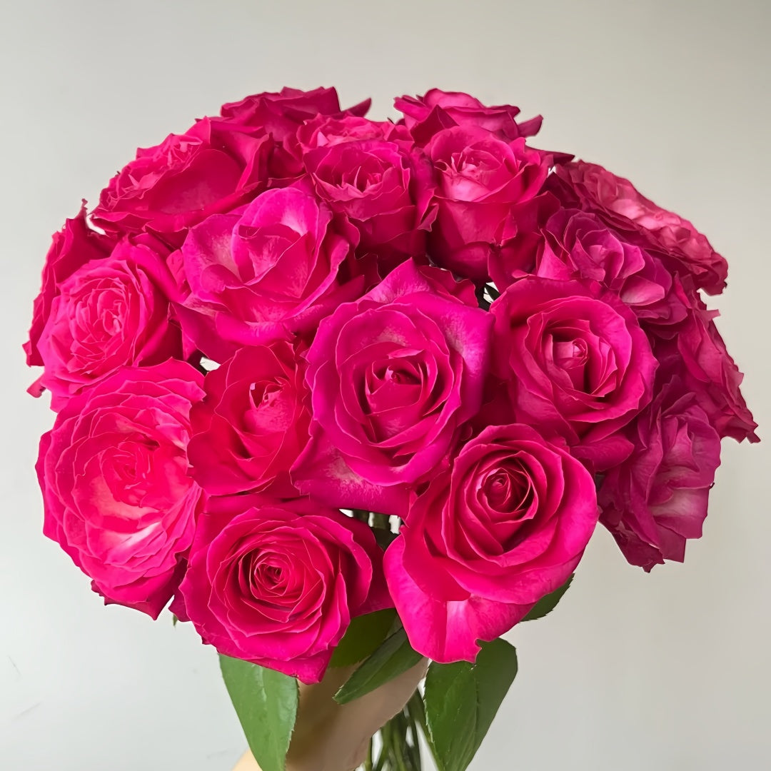 Cherry Avalanche Rose