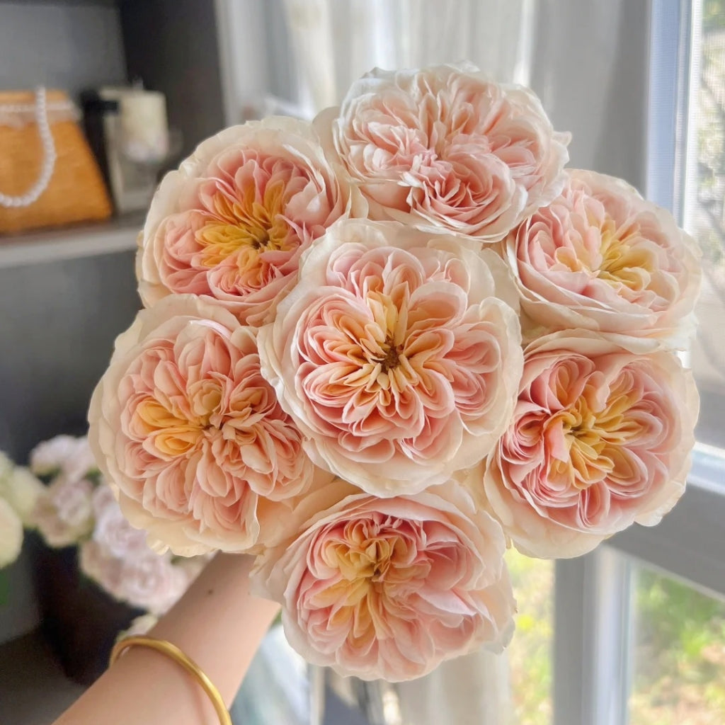 Chunye Worries Rose