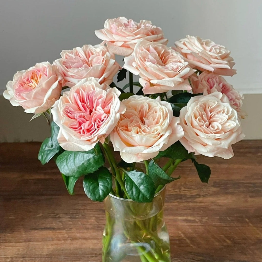 Chunye Worries Rose