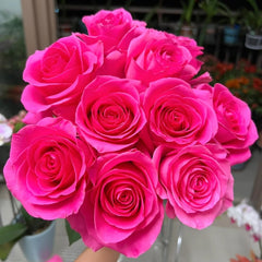 Claire Rose