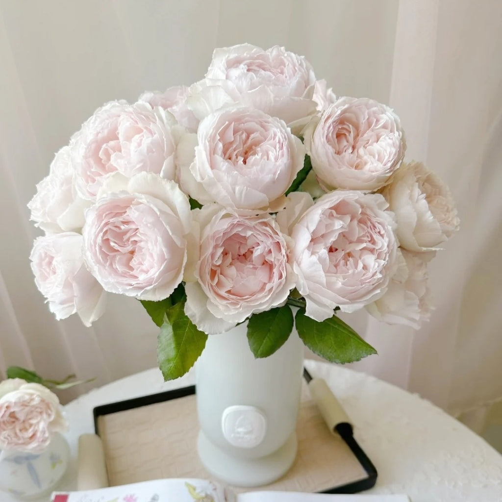 Cocotte Rose