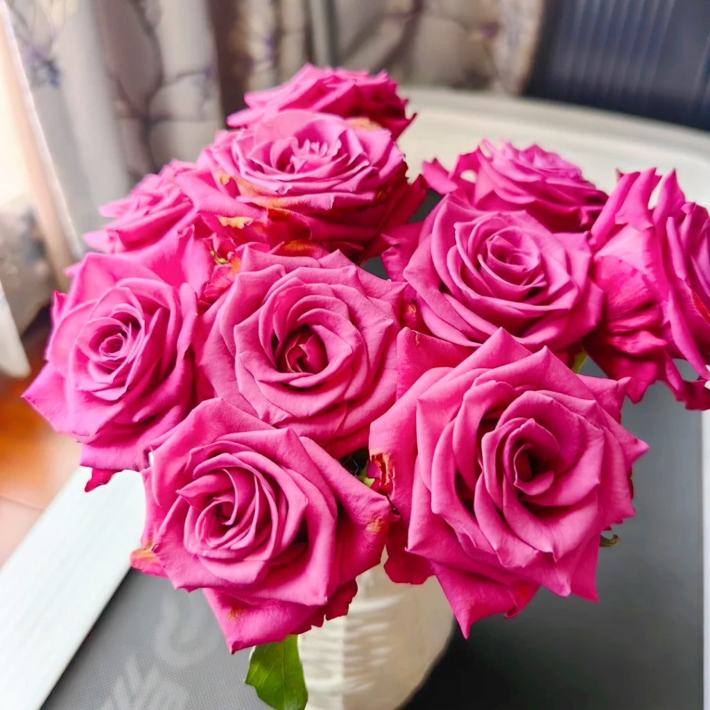 Cool Blue Rose
